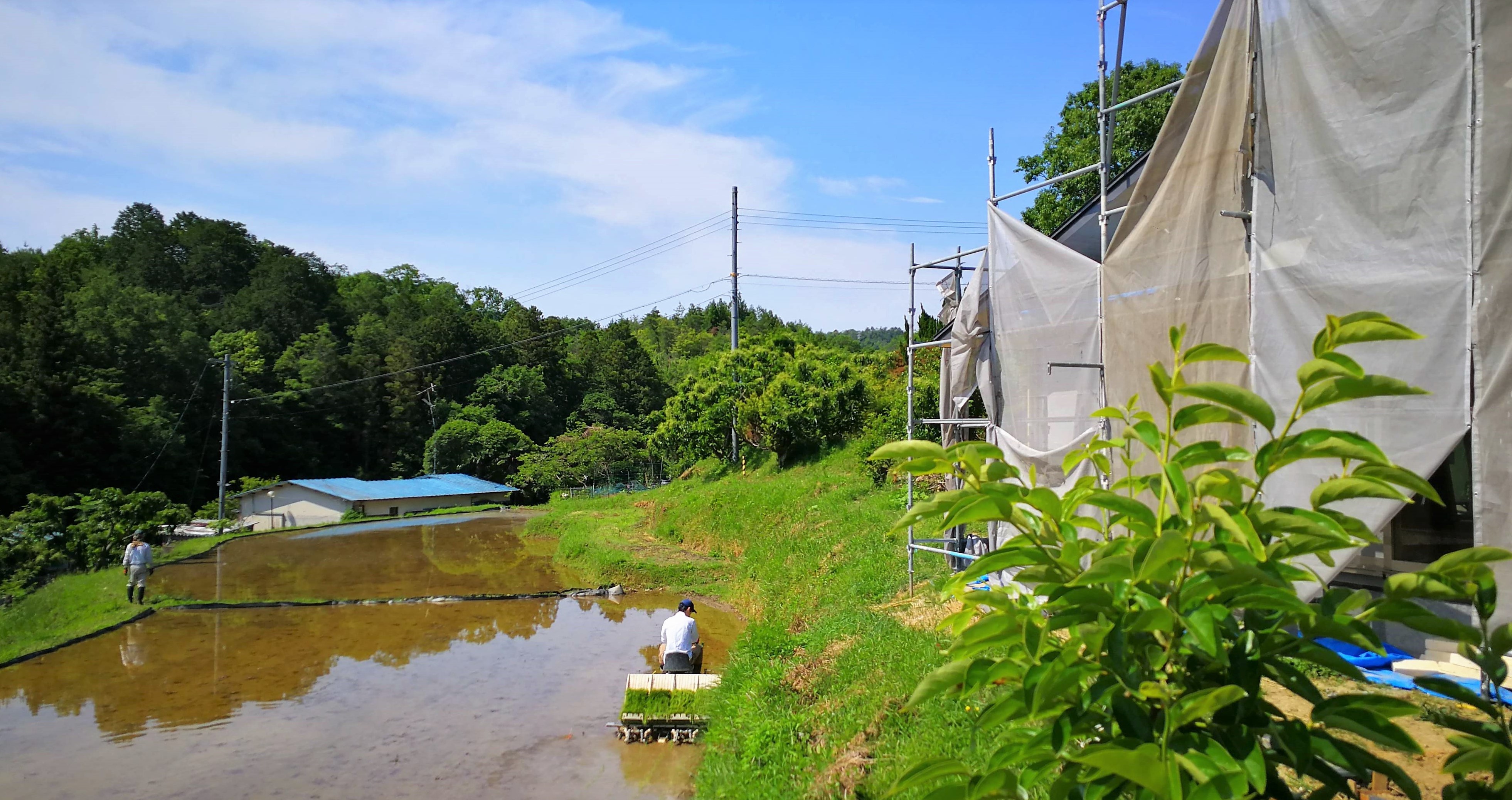 田植えの横で工事